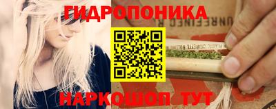 спиды Свободный