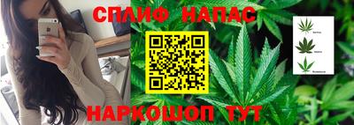 спиды Свободный