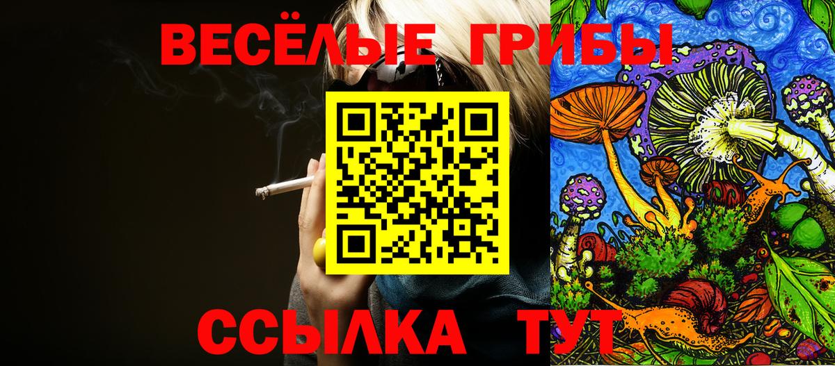 Галлюциногенные грибы MAGIC MUSHROOMS  Вход с VPN  Новодвинск 